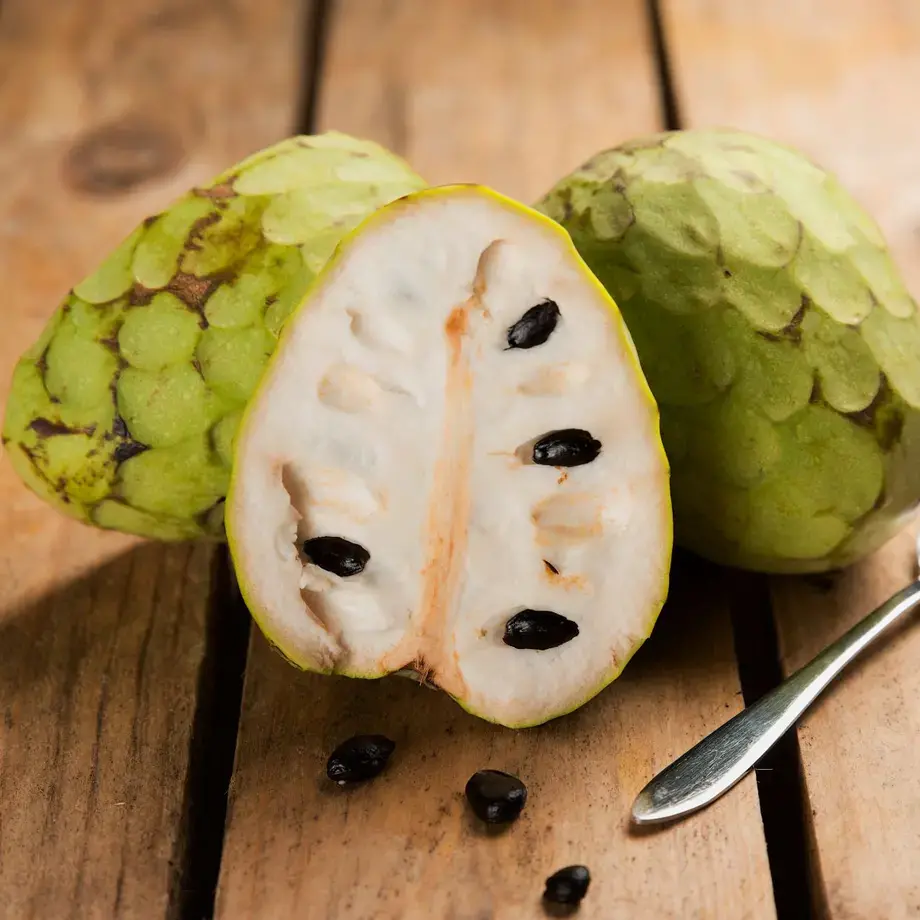 anone - Fine Dining Lovers