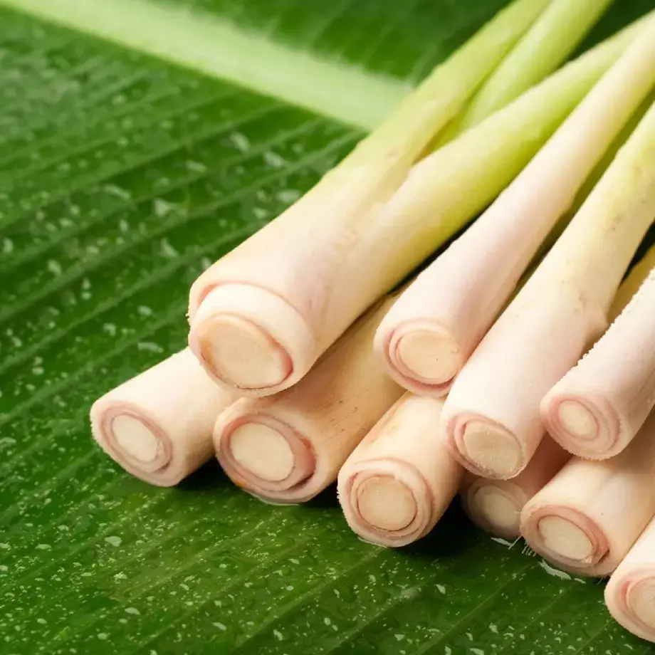Comment utiliser la citronnelle en cuisine