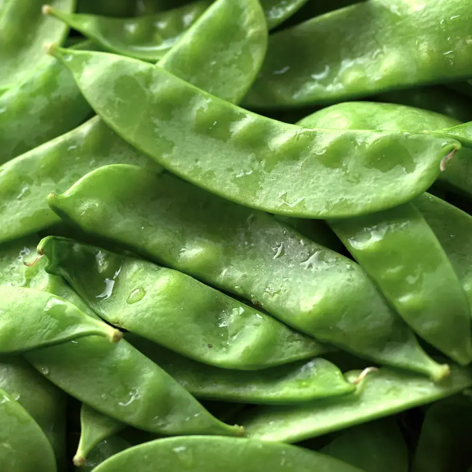 haricots verts plats