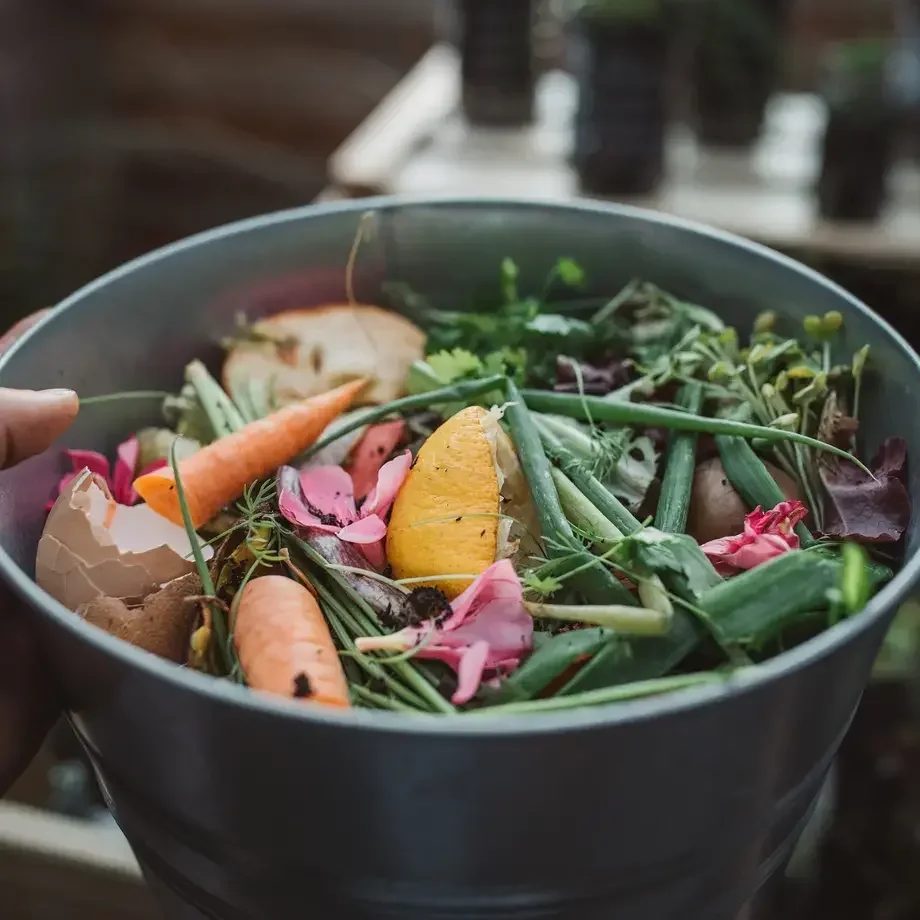 gaspillage alimentaire france