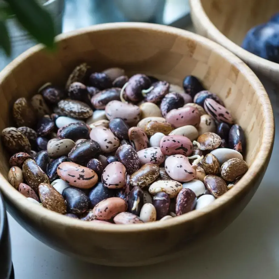 haricots