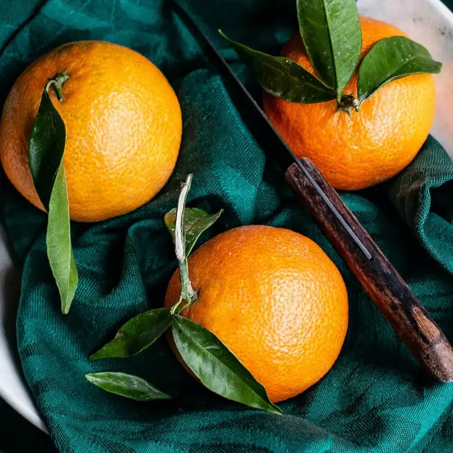 orange amer fruit agrume - Fine Dining Lovers