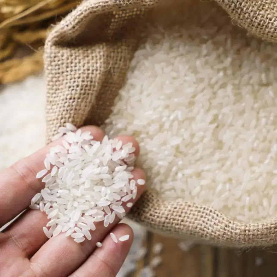 recettes asiatiques riz