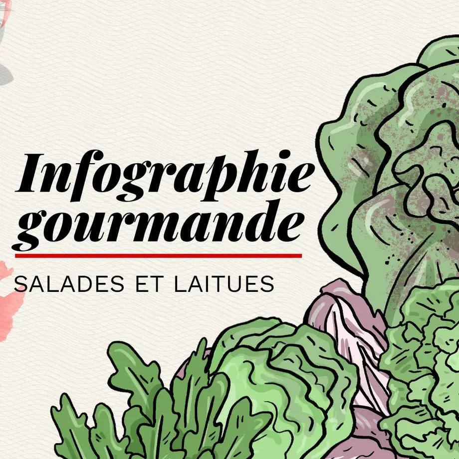 différents types de salade et laitue