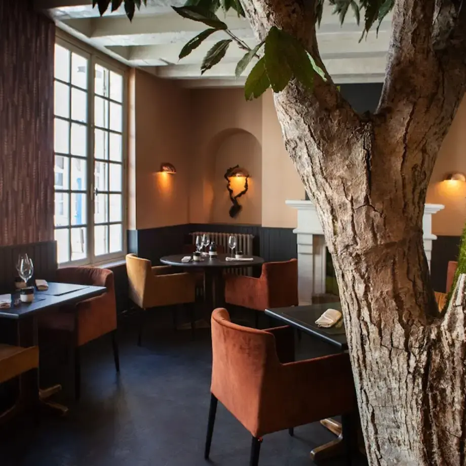 Arbore & Sens Arbore & Sens