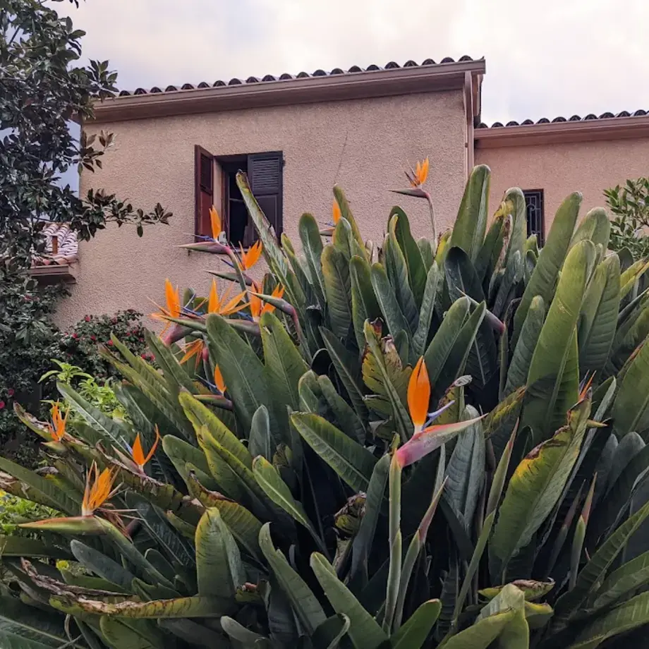 Auberge U Licettu Auberge U Licettu