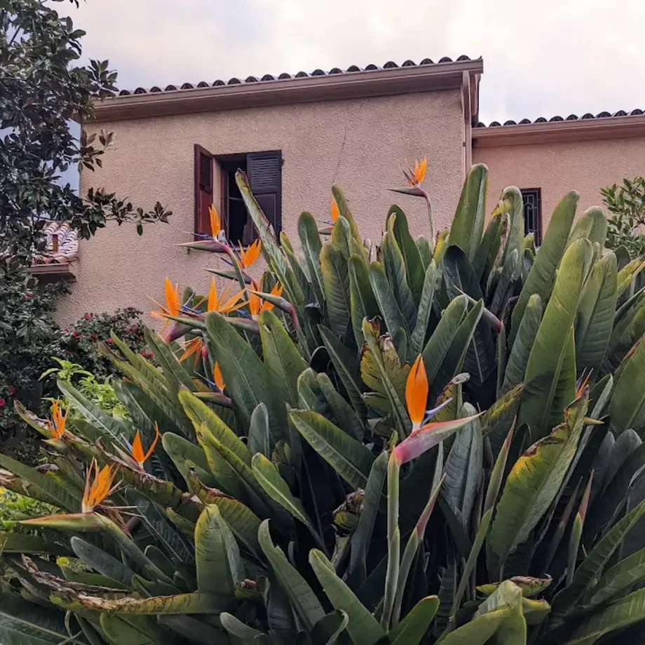 Auberge U Licettu Auberge U Licettu