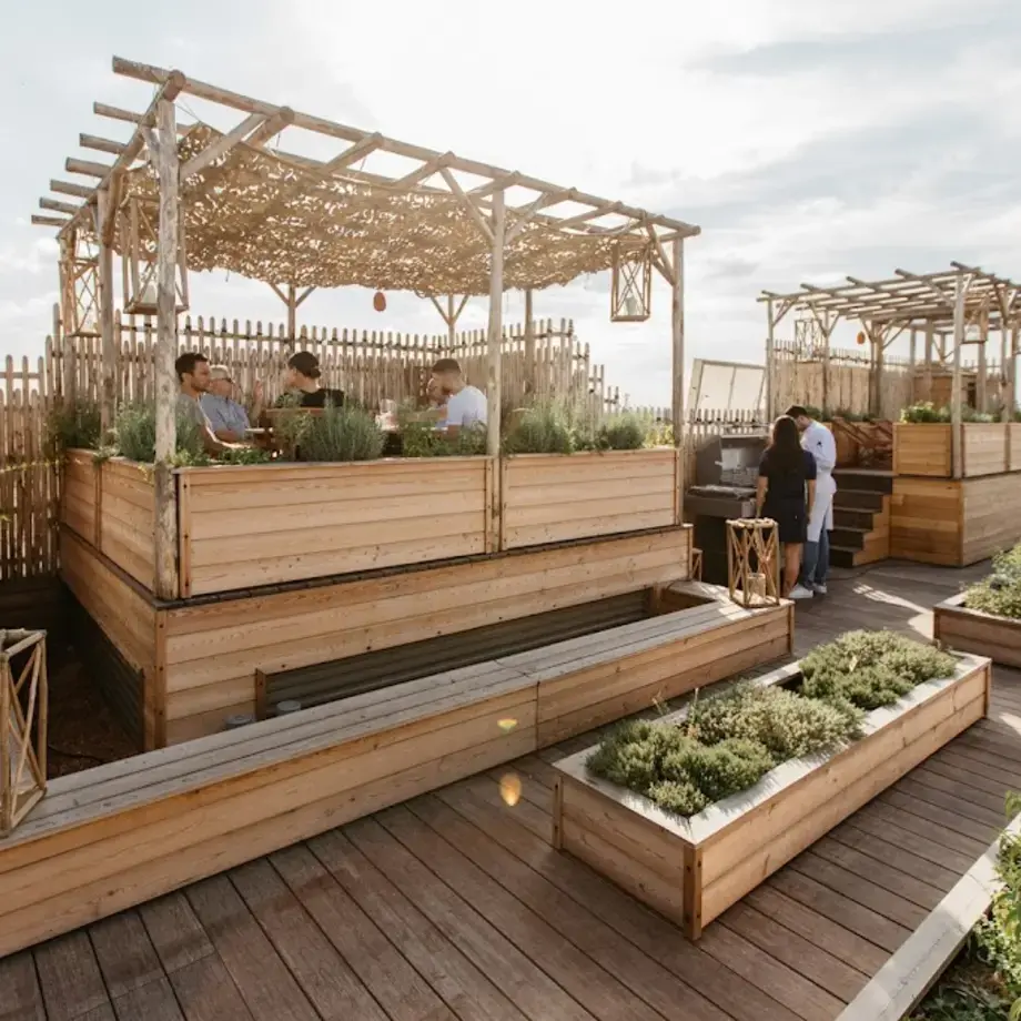 Brach Paris - Evok Collection Brach Paris - Evok Collection