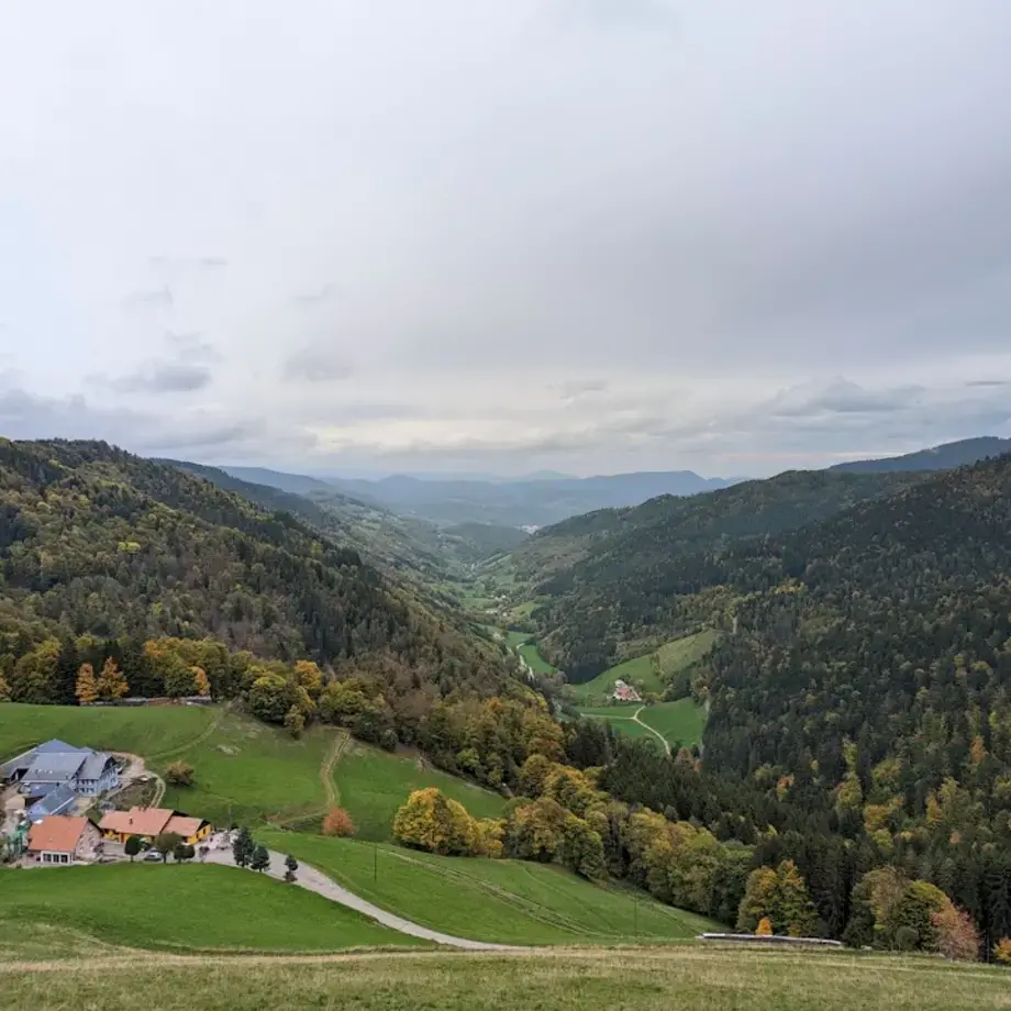 Col de la Schlucht Col de la Schlucht