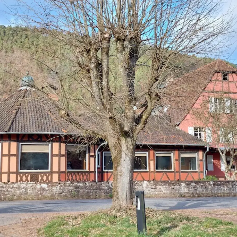 Hôtel Restaurant Anthon