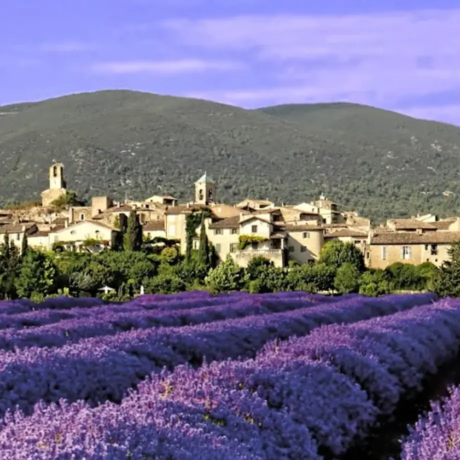 LA TABLE DE LA REINE LA TABLE DE LA REINE