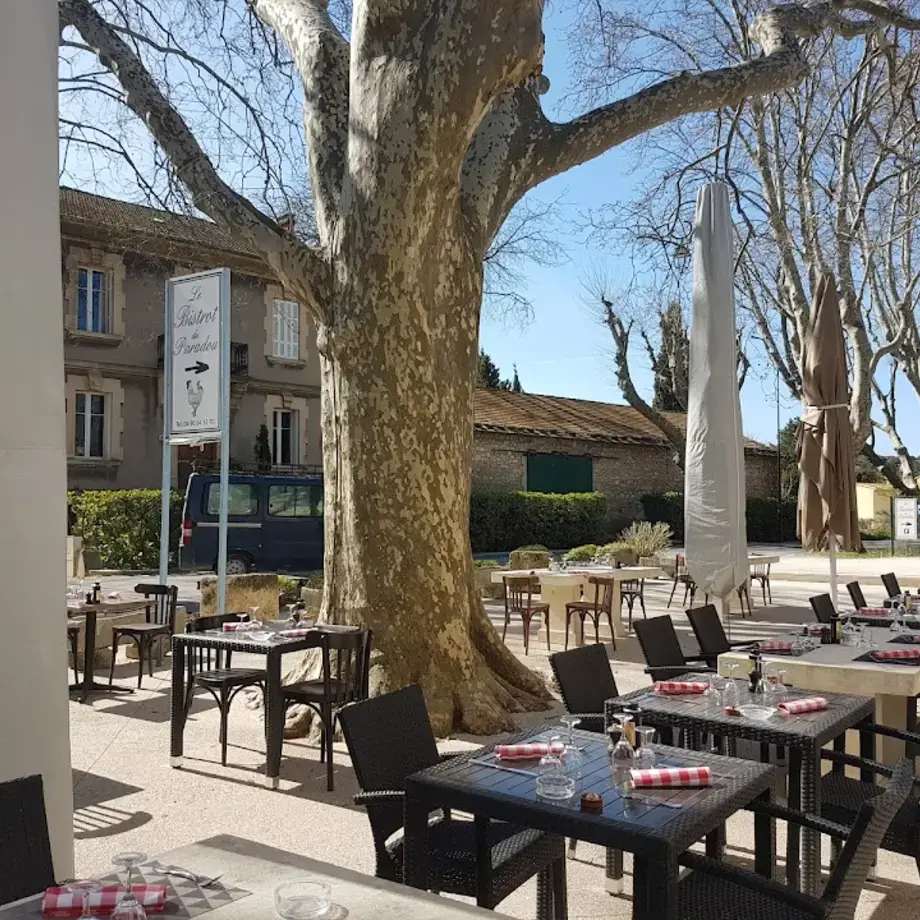 Le Bistrot du Paradou Le Bistrot du Paradou