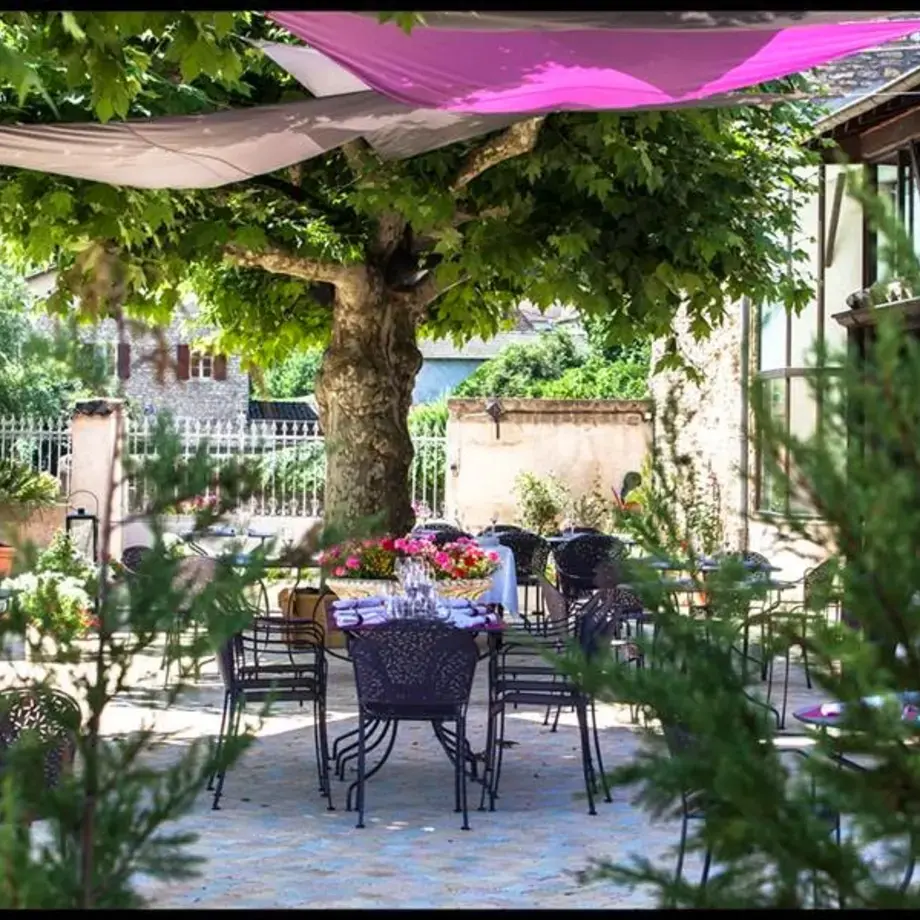 L'O des Vignes L'O des Vignes