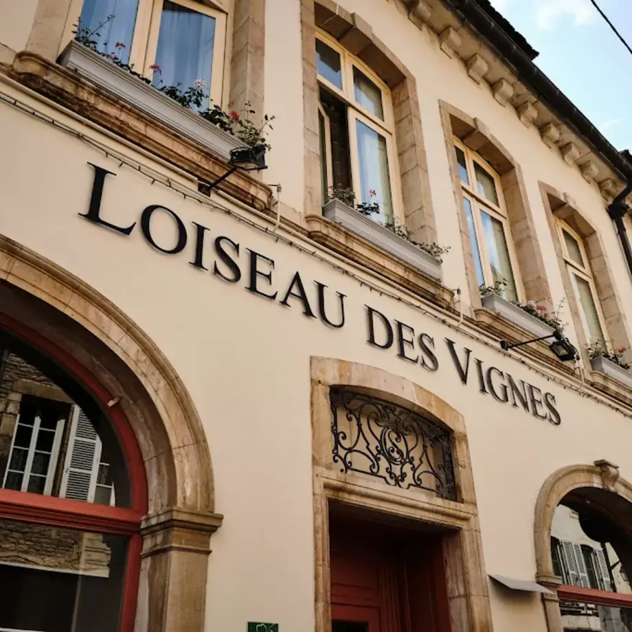 Loiseau des Vignes Loiseau des Vignes