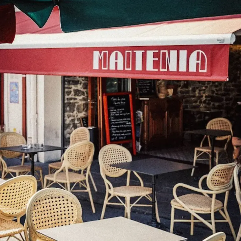 Maitenia Maitenia