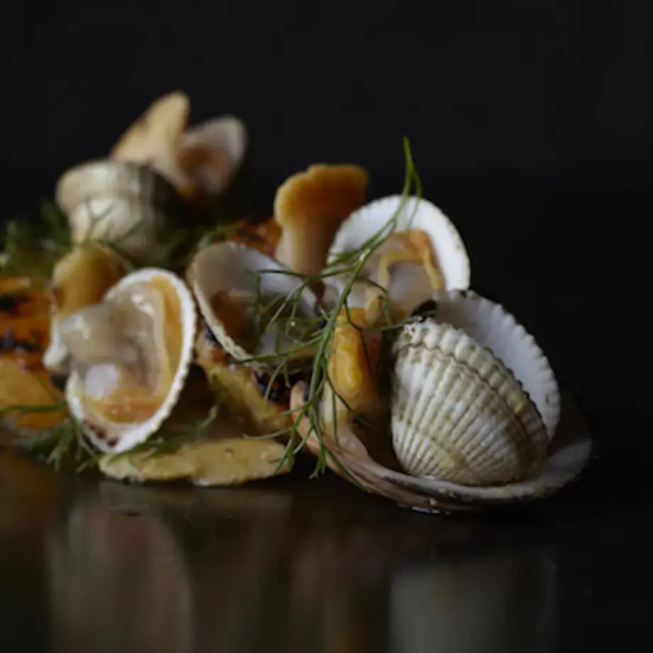 Clémentines grillées, clams et coques par Alexandre Gauthier