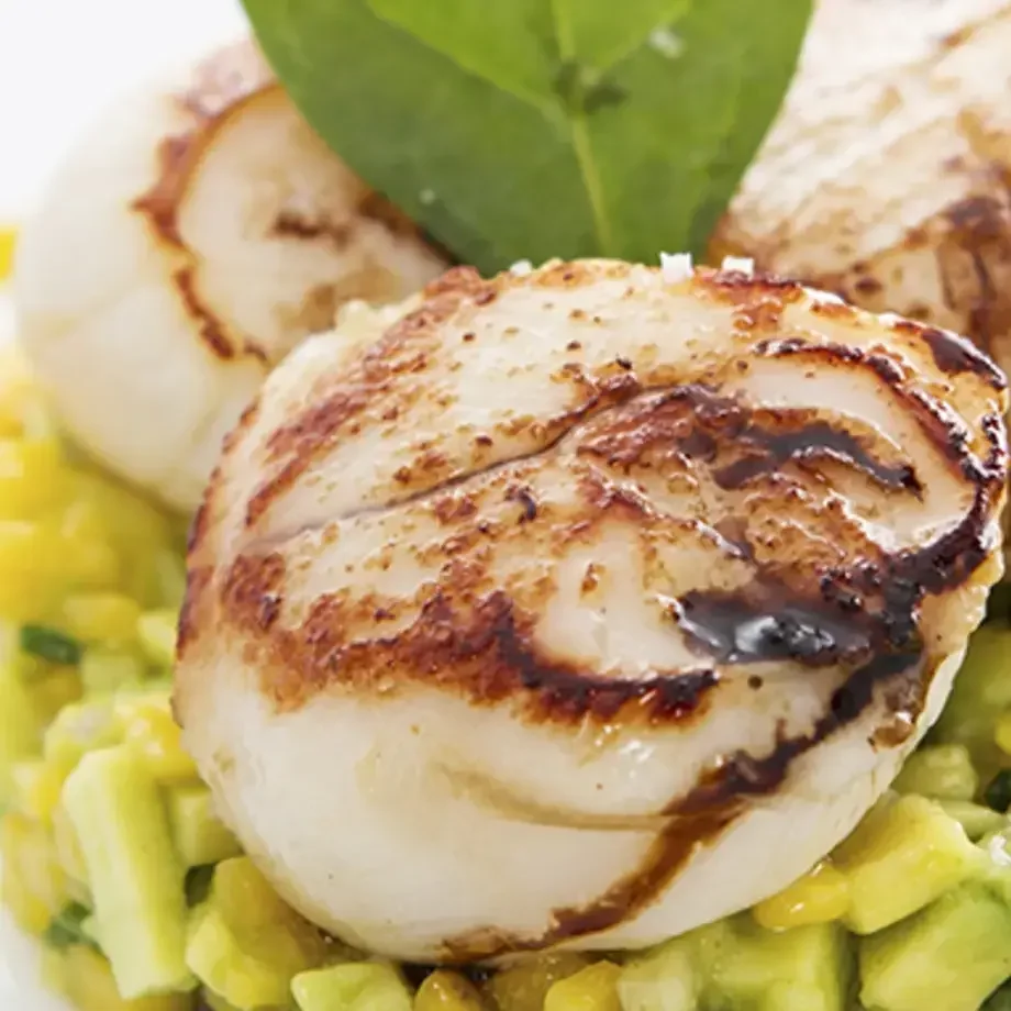 Recette de tartare de Saint-Jacques à la mangue et avocat