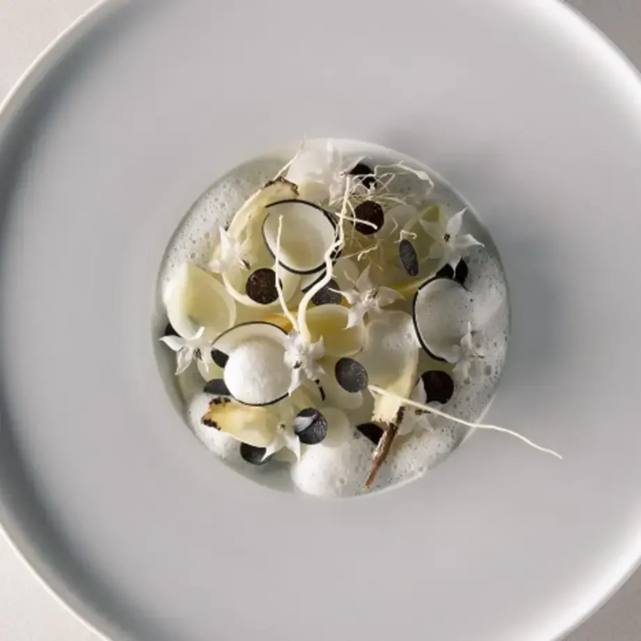 Légumes racines d'hiver, Grana Padano, Melanosporum de Mauro Colagreco
