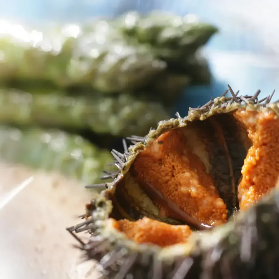 Edouard Loubet : Asperges vertes au beurre d’oursins et crème tournée à la sarriette