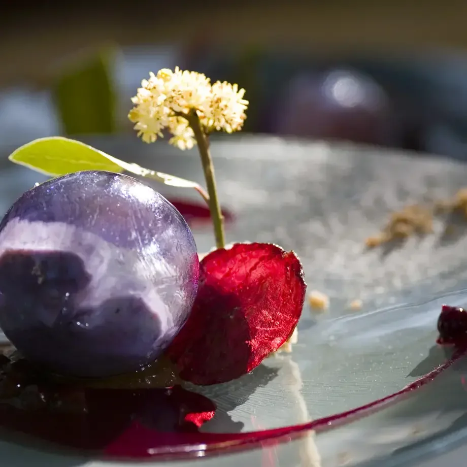 Edouard Loubet : Betterave rouge soufflée en sucre, Pulpe de pruneaux moelleux, Mousse « Péché mignon »
