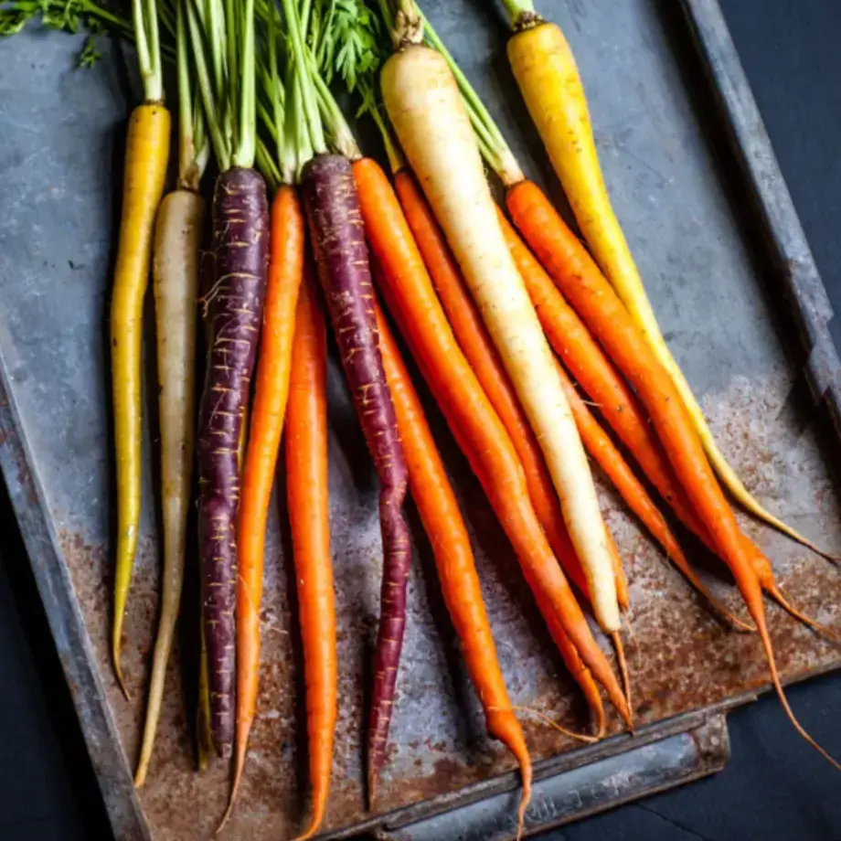 salade de carottes rôties chatgpt