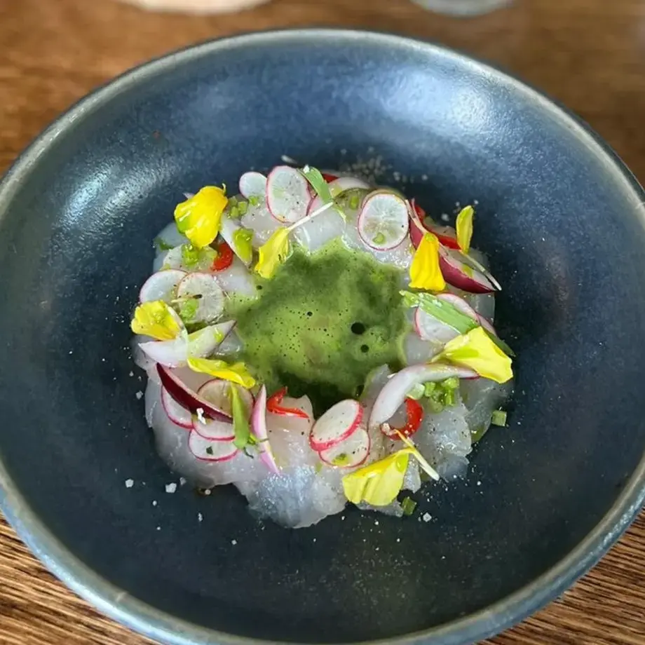 ceviche de daurade