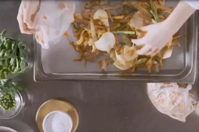 Demi-glace de légumes - Why waste ?