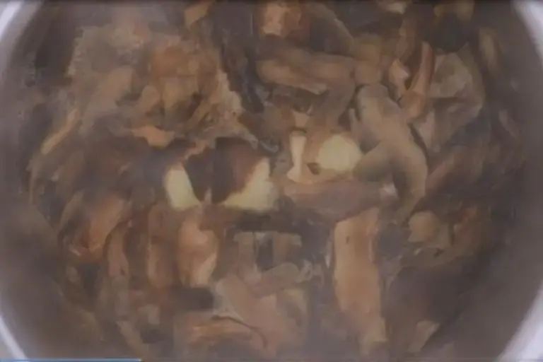 Demi-glace de légumes - Why waste ?