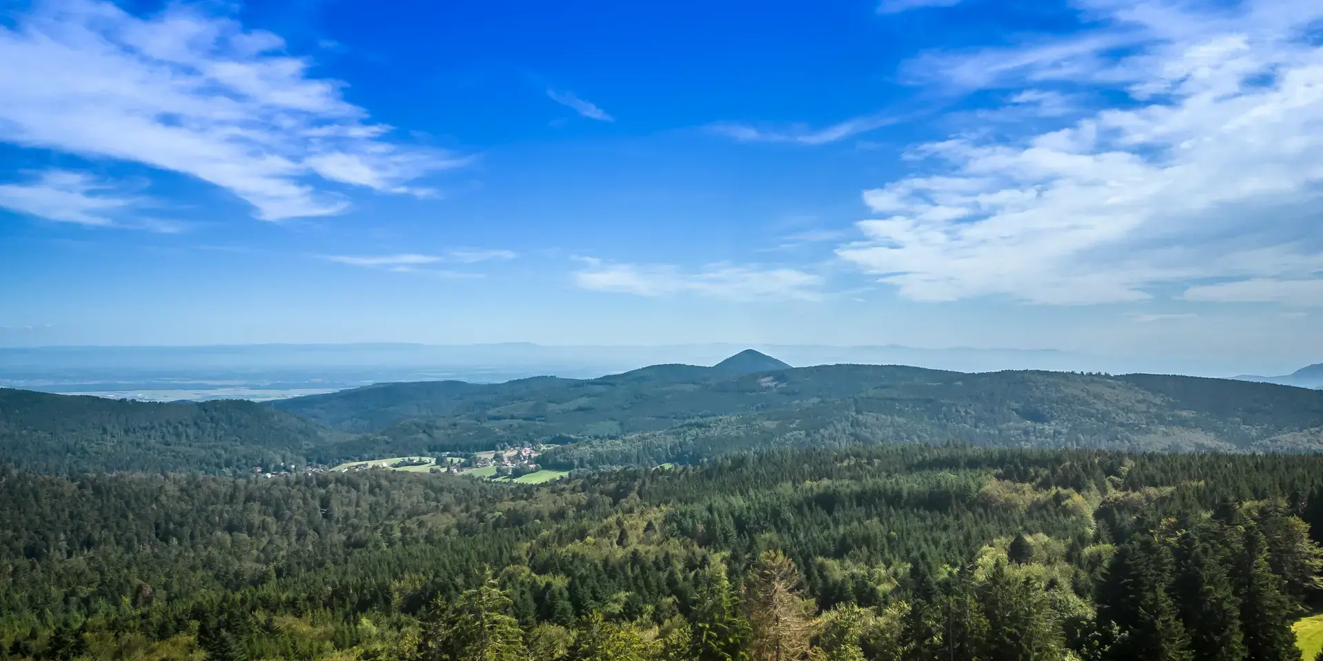 Paysage montagneux verdoyant sous un ciel bleu éclatant,offrant une vue panoramique sur la forêt et les vallées environnantes