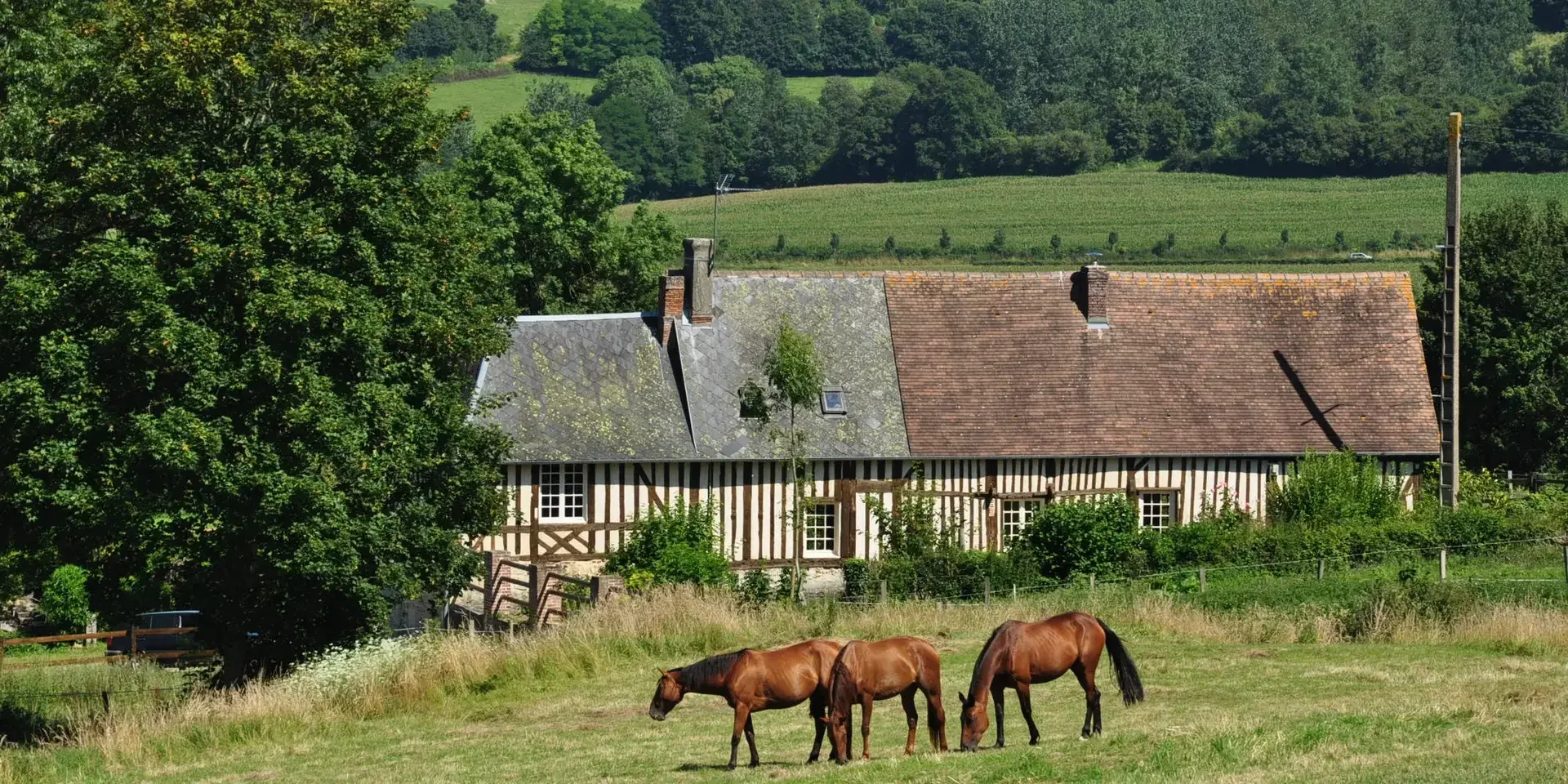 Calvados