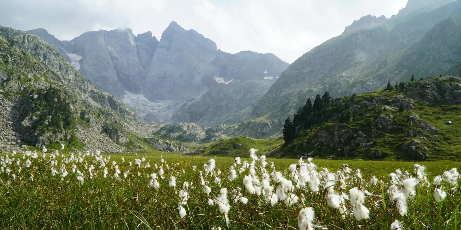 Pyrénées-Orientales