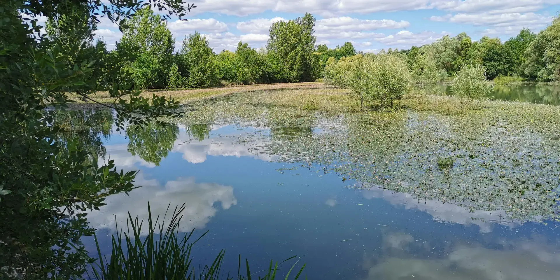 Tarn