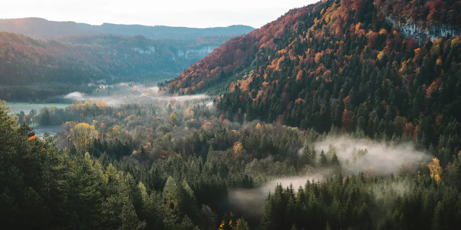 Jura