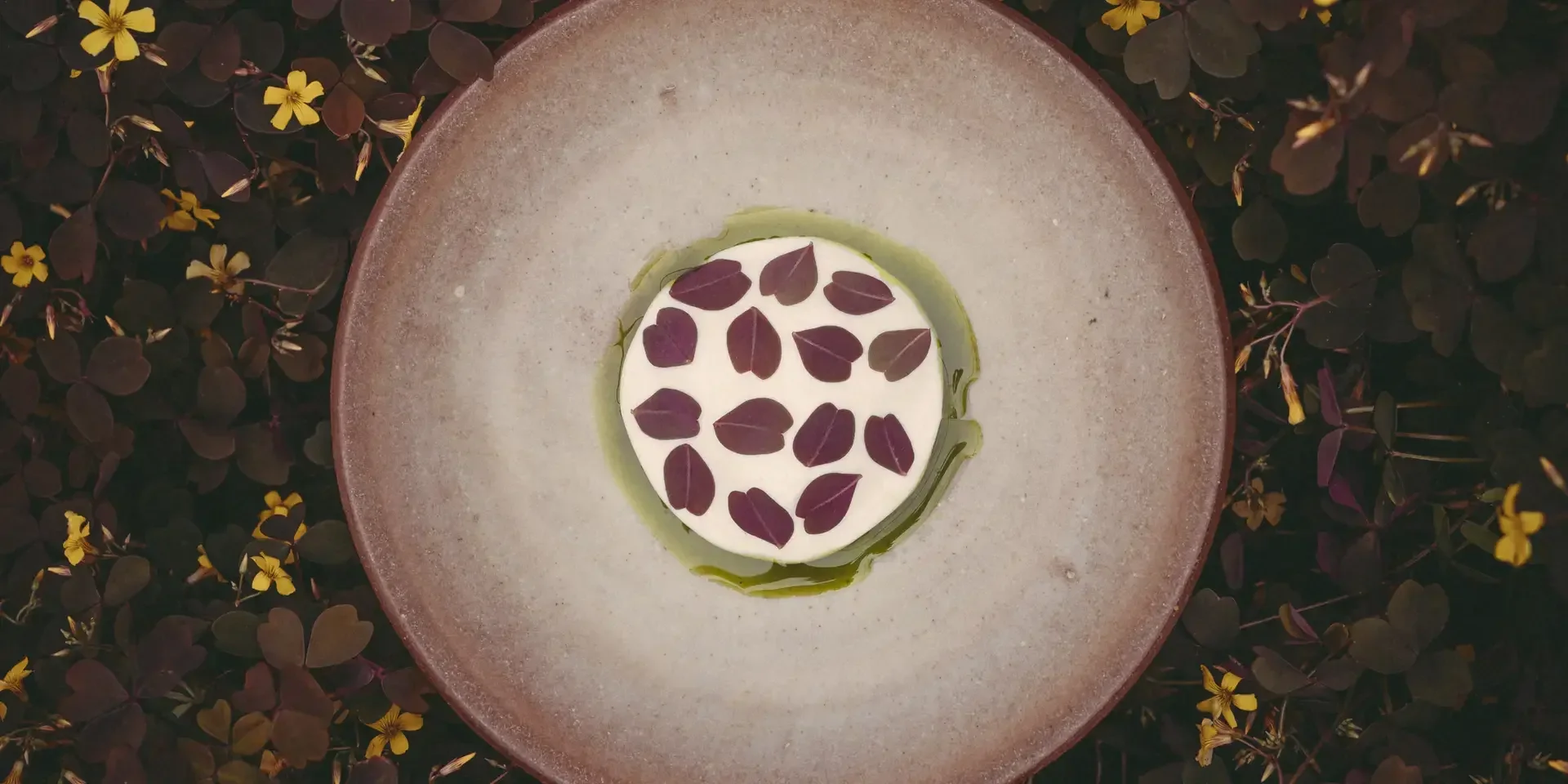 Romain Bassenne - Crapaudine