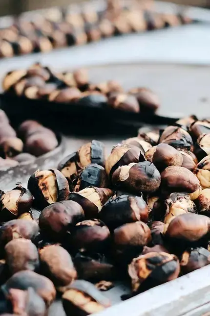 Informations Nutritionnelles