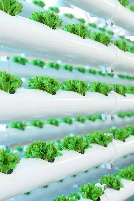 Alimentation durable