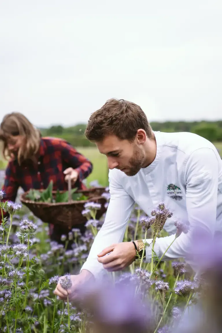 cuisiner les fleurs