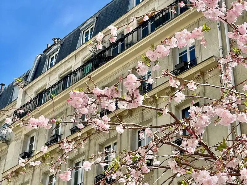 Paris printemps 2025