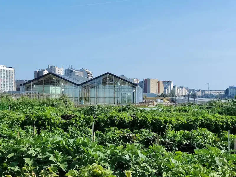 plantation paris