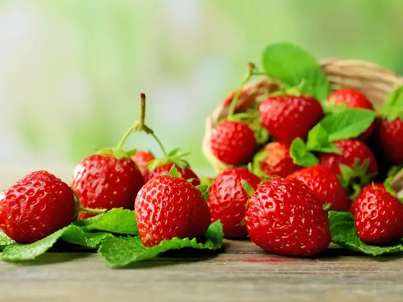 congeler des fraises - Fine Dining Lovers