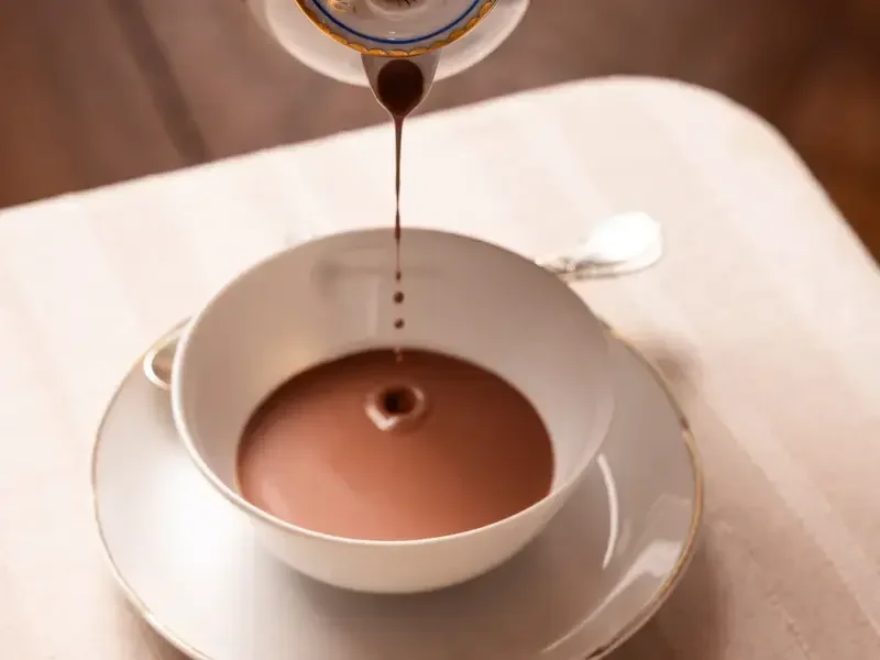 chocolat chaud alain ducasse
