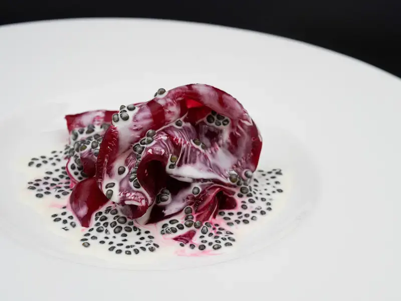 Les plats de Mauro Colagreco pour S.Pellegrino Sapori Ticino 