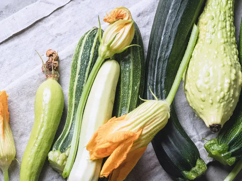 variétés de courgettes – Finedininglovers