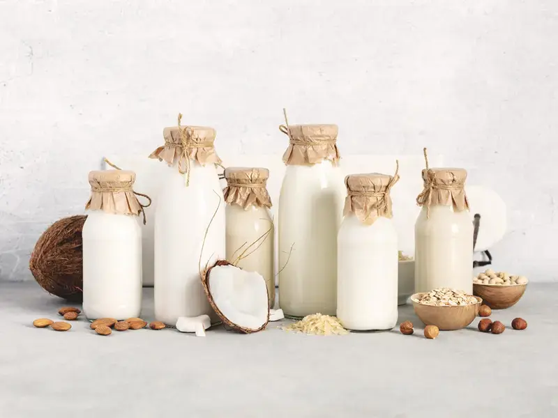 laits alternatifs
