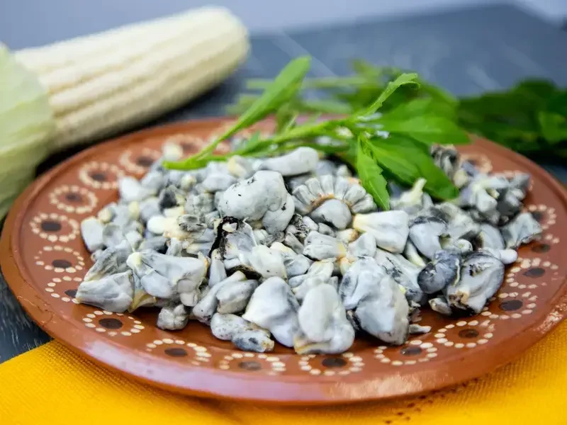 Charbon du maïs ou huitlacoche