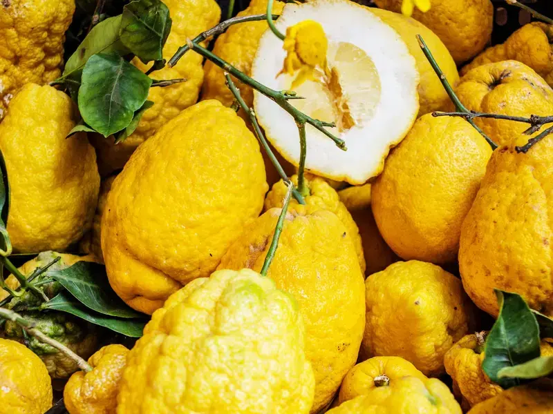citrus medica fruit - Fine Dining Lovers