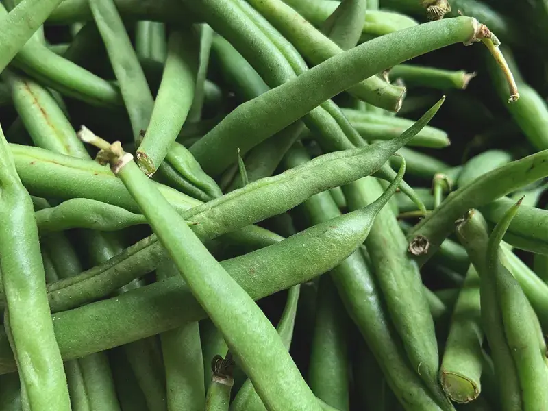 haricots verts