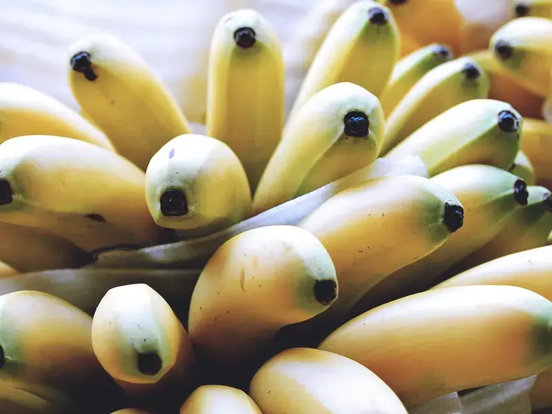 conserver bananes