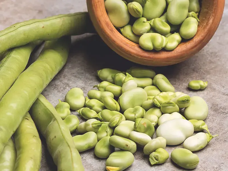 comment cuisiner les fèves - Fine Dining Lovers