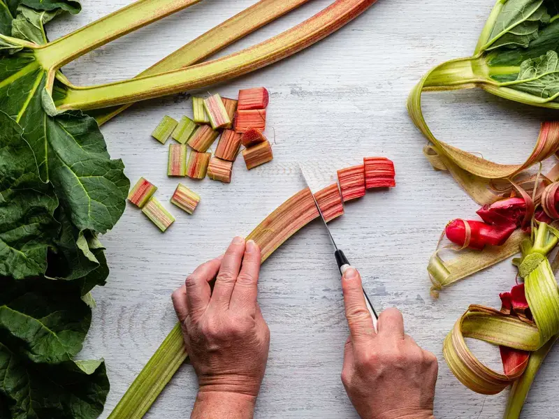 Comment préparer la rhubarbe ?